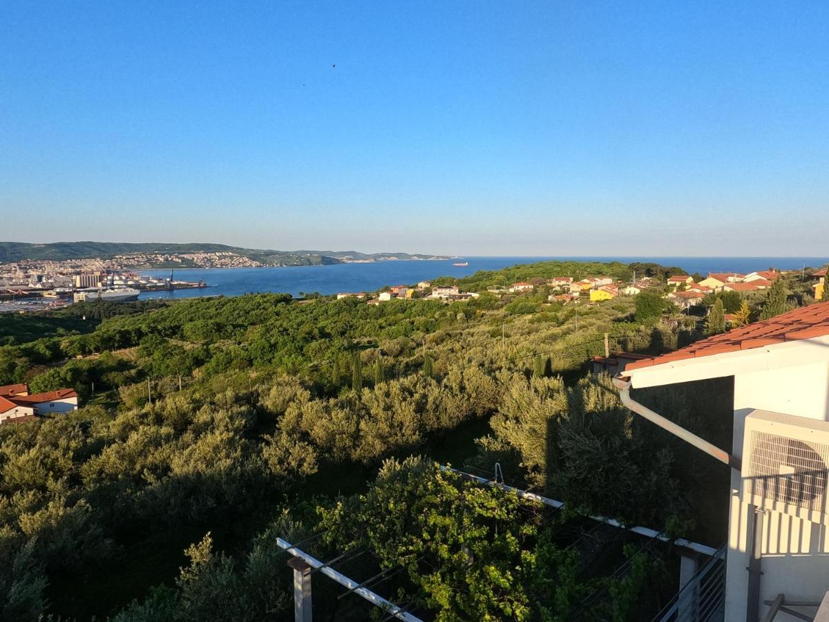 Апартаменти House Among Olive Trees With A Sea View 1 Анкаран Екстер'єр фото