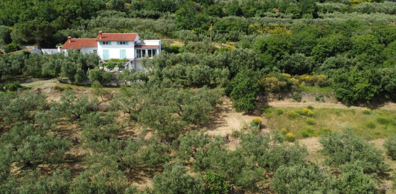 Апартаменти House Among Olive Trees With A Sea View 1 Анкаран Екстер'єр фото